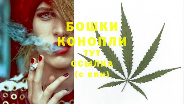 крисы Богородицк