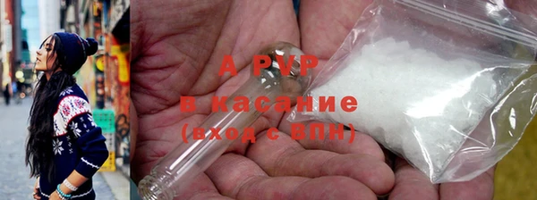 крисы Богородицк