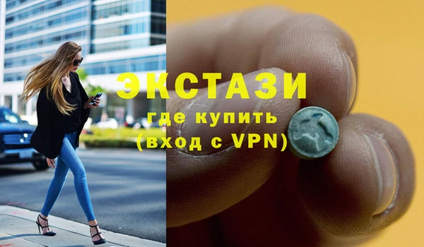 крисы Богородицк