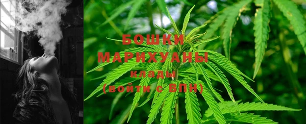 крисы Богородицк