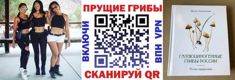 Псилоцибиновые грибы прущие грибы  Купить  Кольчугино 
